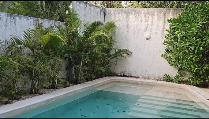 Alberca rodeada de palmeras en el patio-jardín de Harmony, Casa de los Sueños